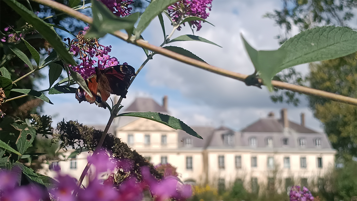 Automne 2024 : c’est la rentrée au Campus !